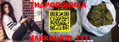 хмурый Абакан