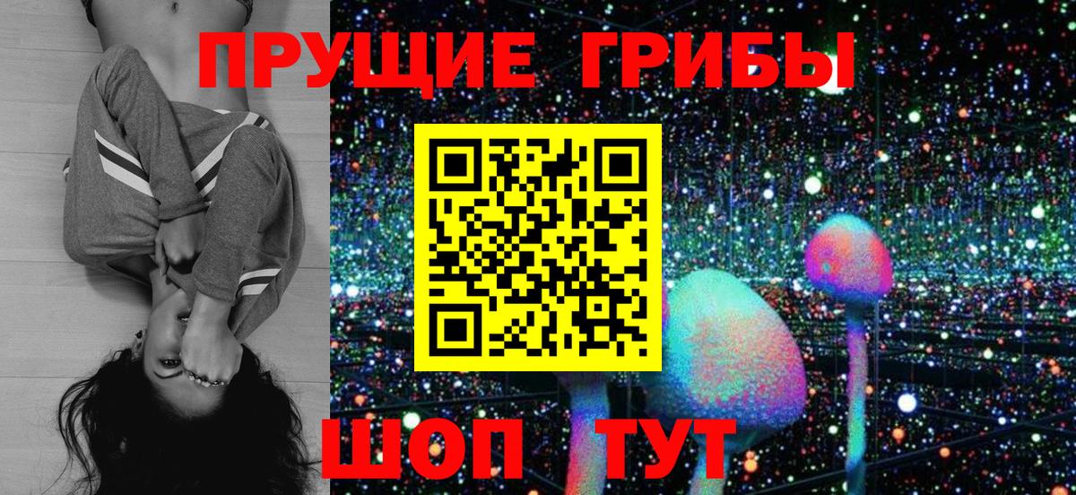 Псилоцибиновые грибы Cubensis Карабулак