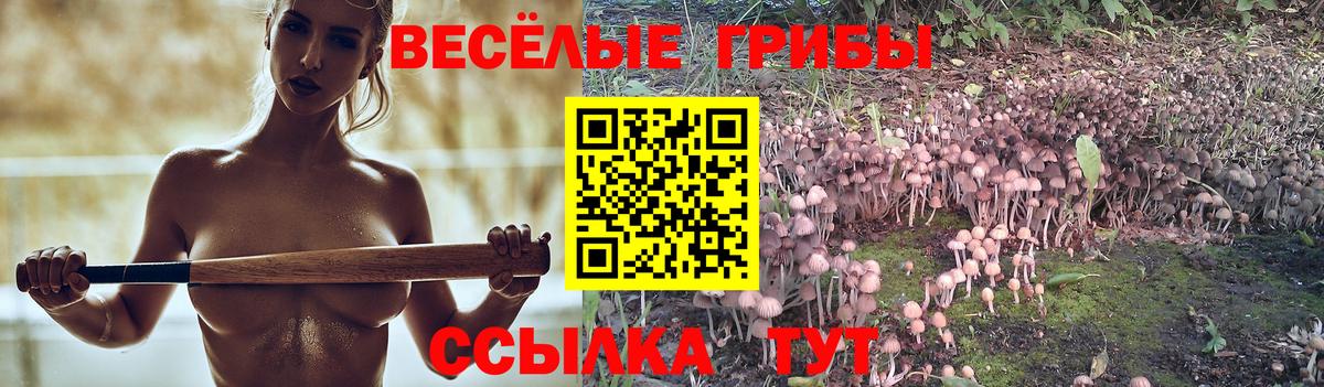 Карабулак  Псилоцибиновые грибы мухоморы  Вход с VPN 
