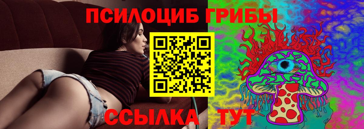 Псилоцибиновые грибы Psilocybe  Галлюциногенные грибы ЛСД  даркнет сайт  Карабулак 