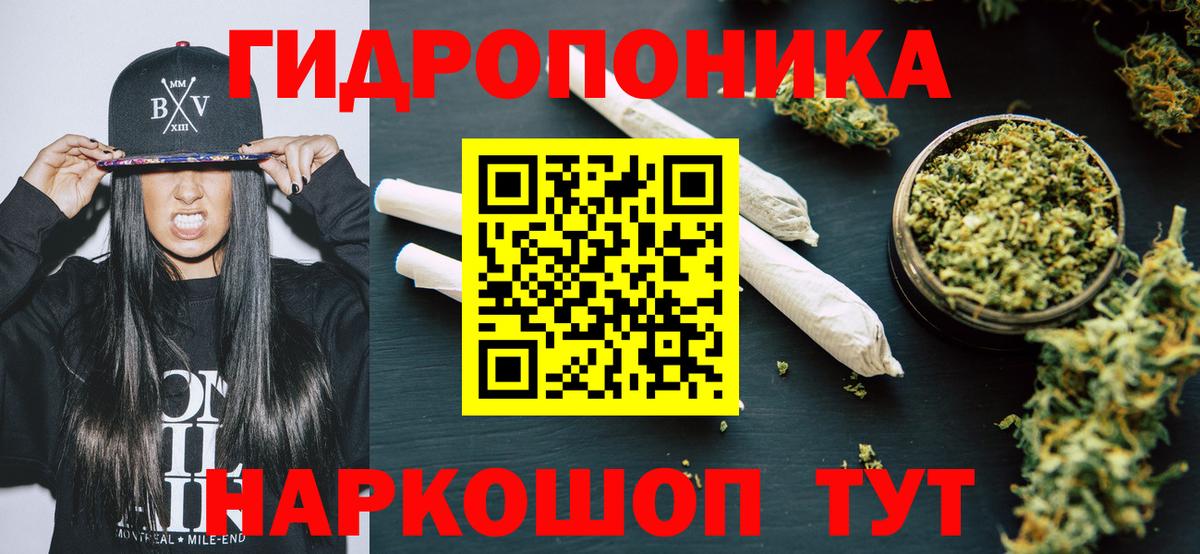 Конопля индика  Карабулак  Конопля марихуана  Марихуана AK-47 